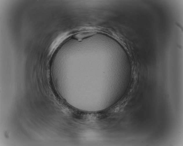 X0000099470103200805231840