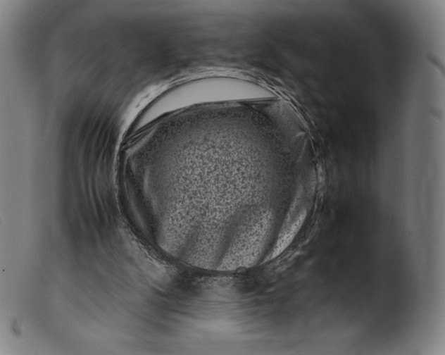 X0000099470104200805231840