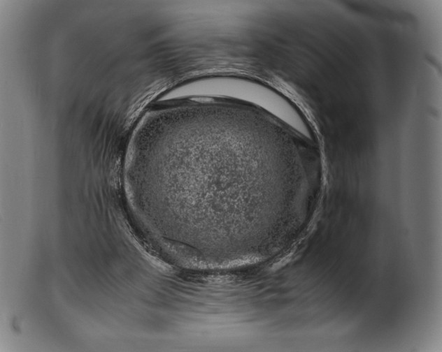 X0000099470105200805231840