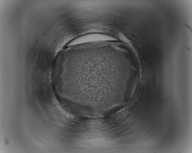 X0000099470106200805231840