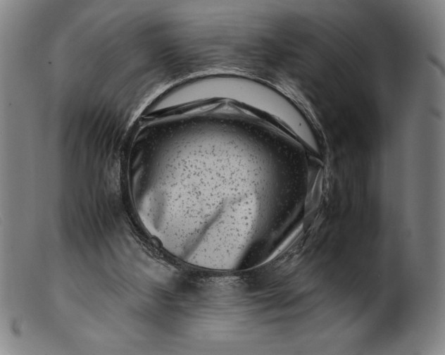 X0000099470108200805231840