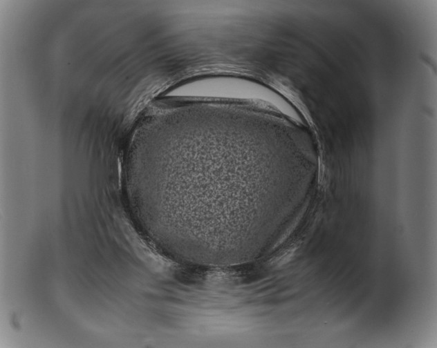 X0000099470109200805231840