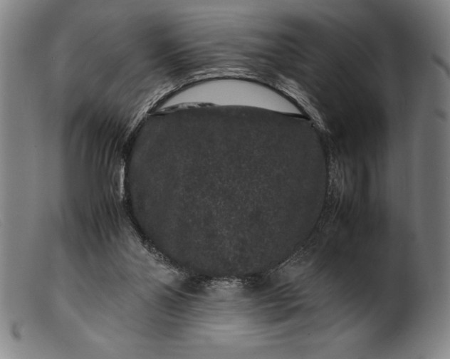 X0000099470110200805231840