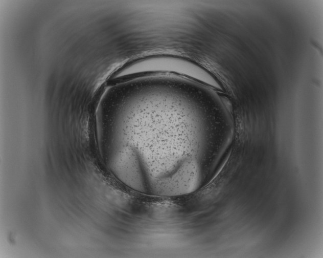 X0000099470112200805231840