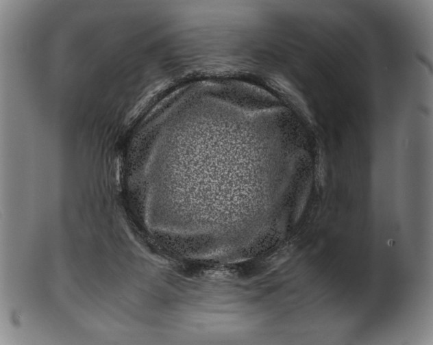 X0000099470115200805231840