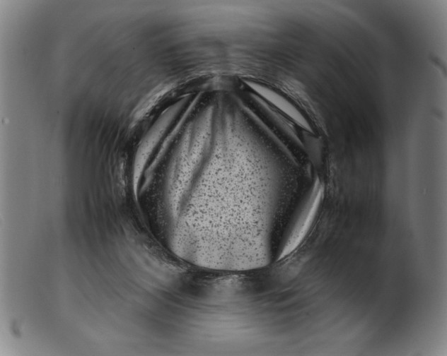 X0000099470116200805231840