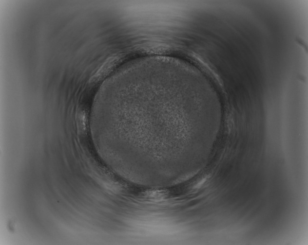 X0000099470117200805231840