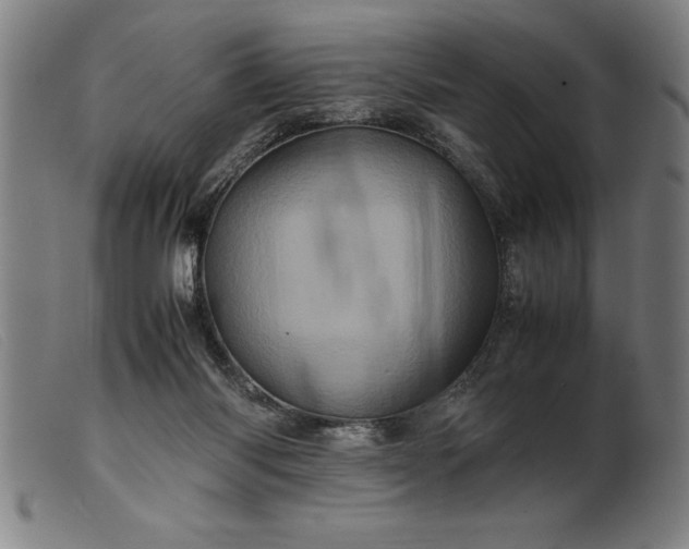 X0000099470118200805231840