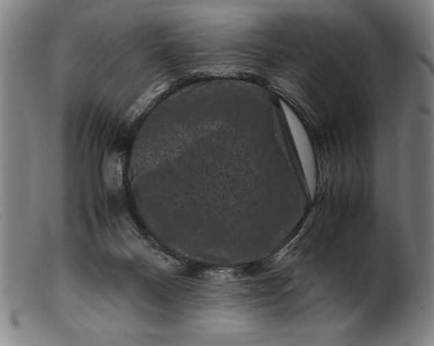 X0000099470120200805231840