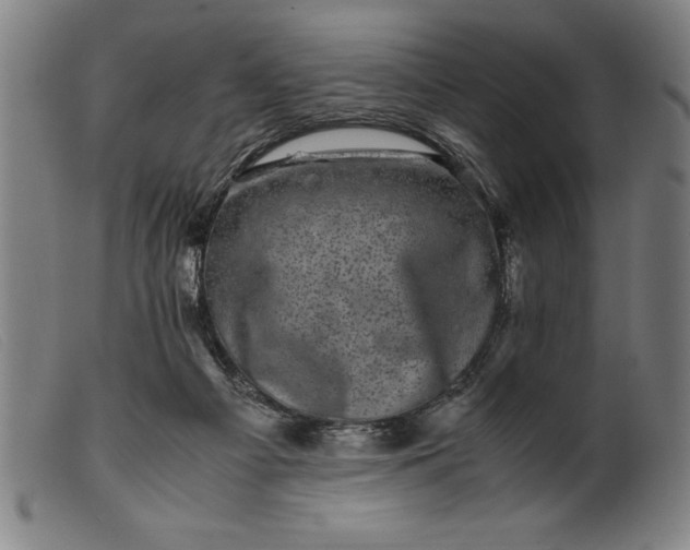 X0000099470121200805231840