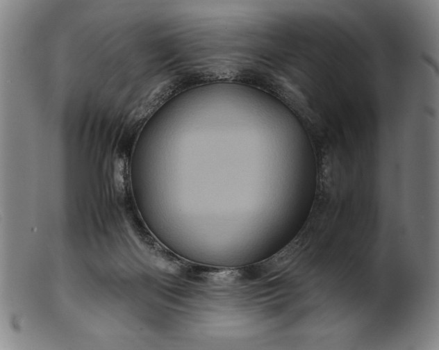 X0000099470122200805231840