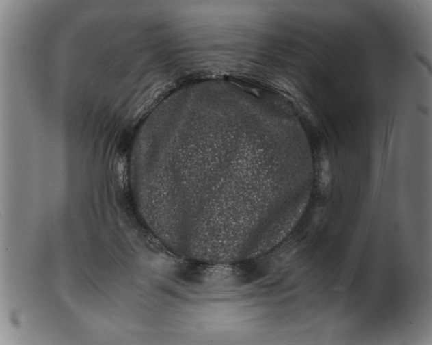 X0000099470123200805231840