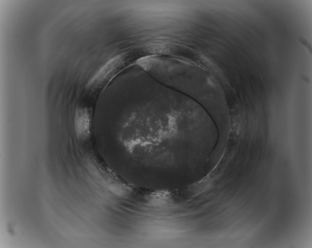 X0000099470124200805231840