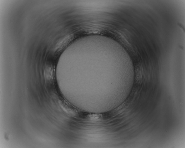 X0000099470126200805231840