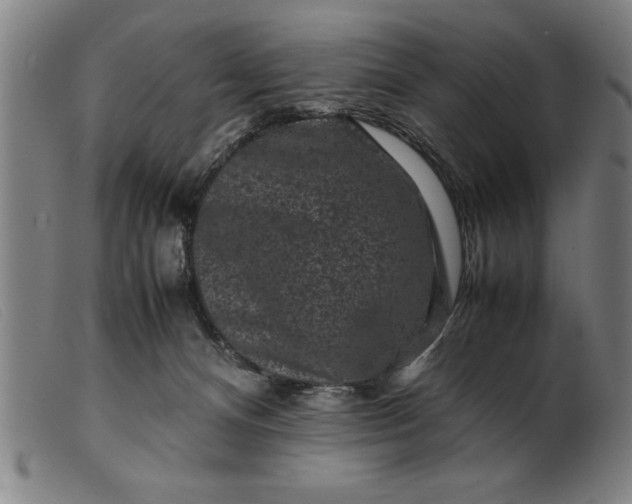 X0000099470128200805231840