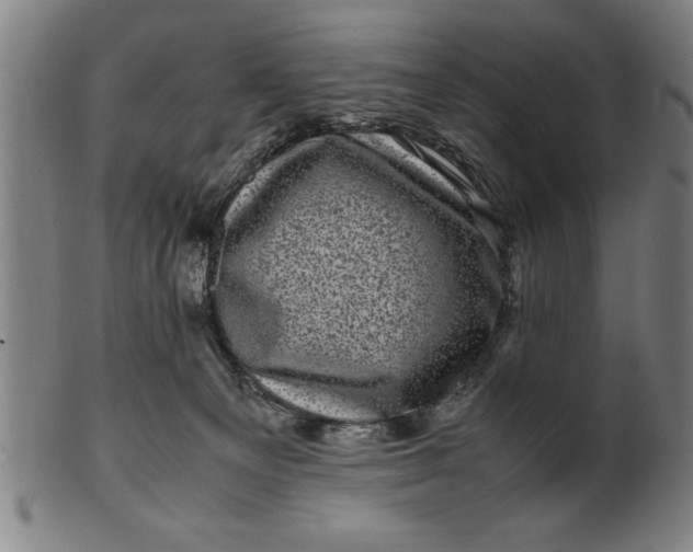 X0000099470129200805231840