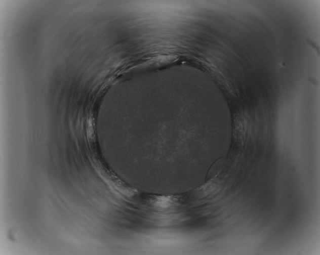 X0000099470130200805231839