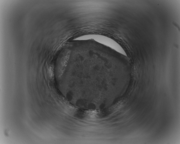 X0000099470131200805231839