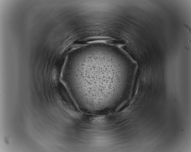 X0000099470132200805231839