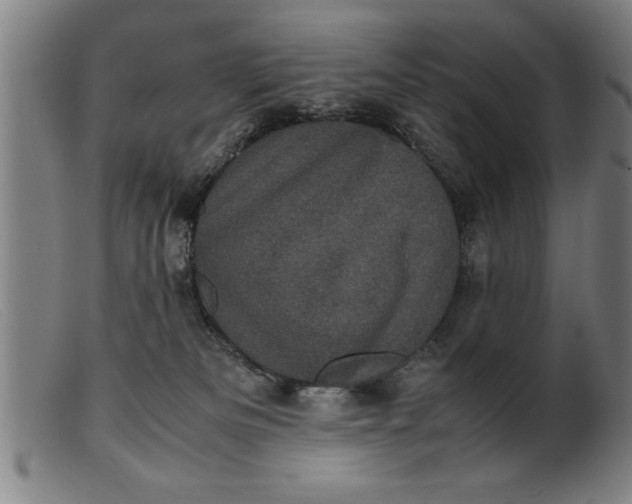 X0000099470133200805231839