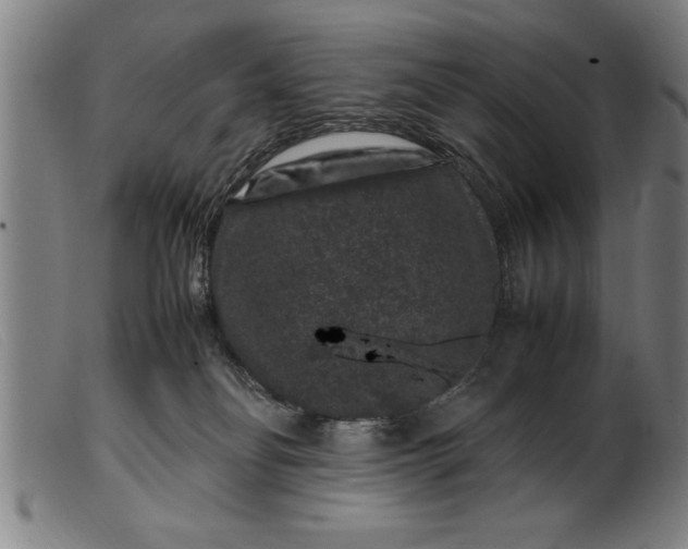 X0000099470134200805231839