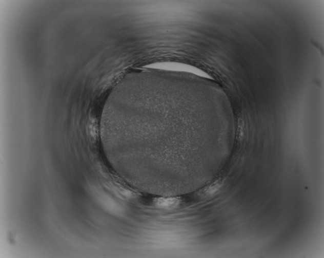 X0000099470135200805231839