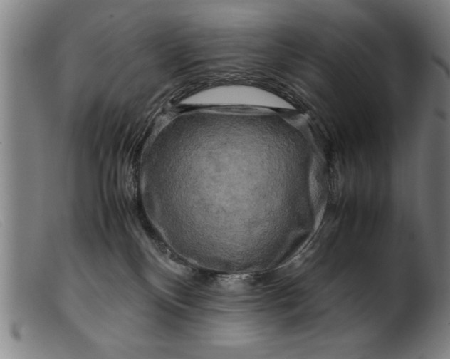 X0000099470136200805231839