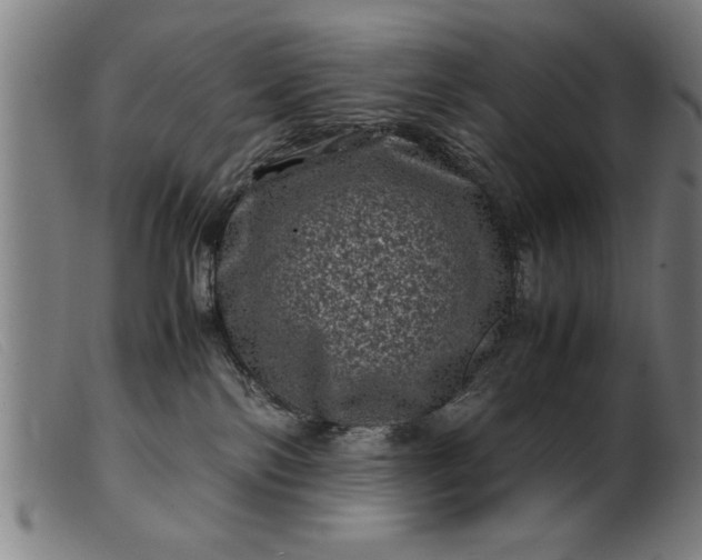 X0000099470138200805231839