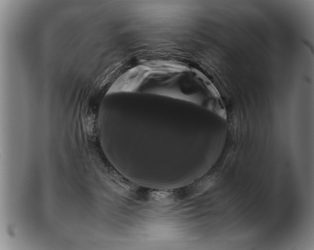 X0000099470139200805231839