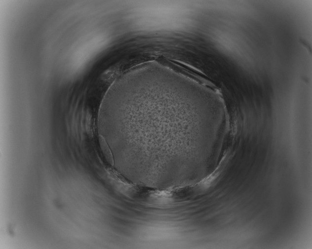 X0000099470140200805231839