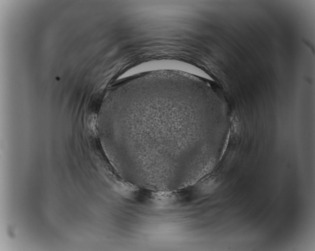 X0000099470141200805231839