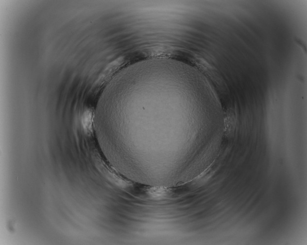 X0000099470142200805231839