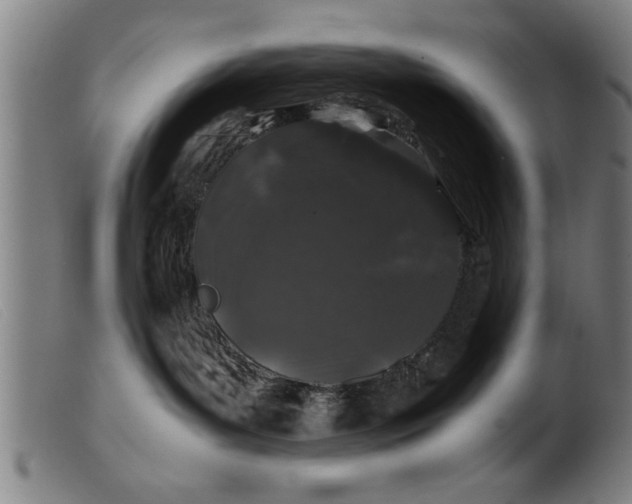 X0000099470143200805231839