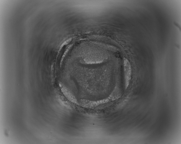 X0000099470144200805231839