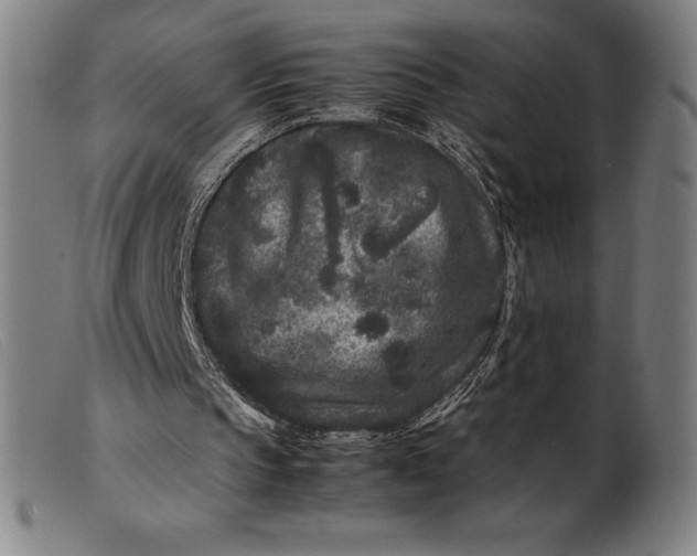 X0000099470145200805231838