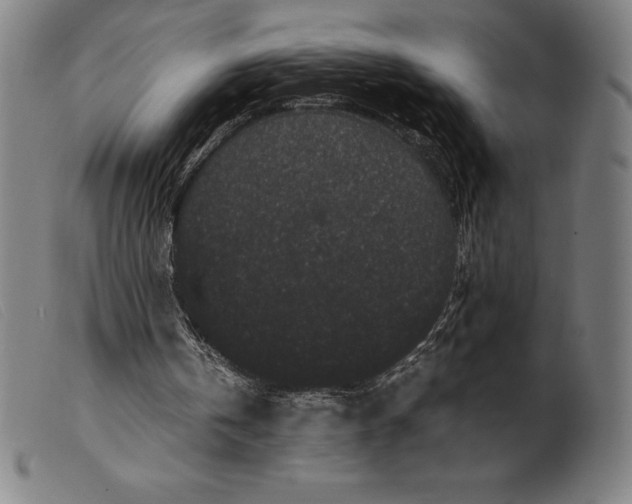 X0000099470146200805231838