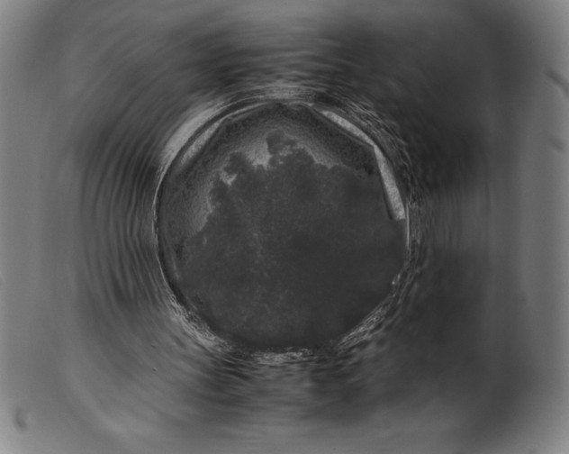 X0000099470147200805231838