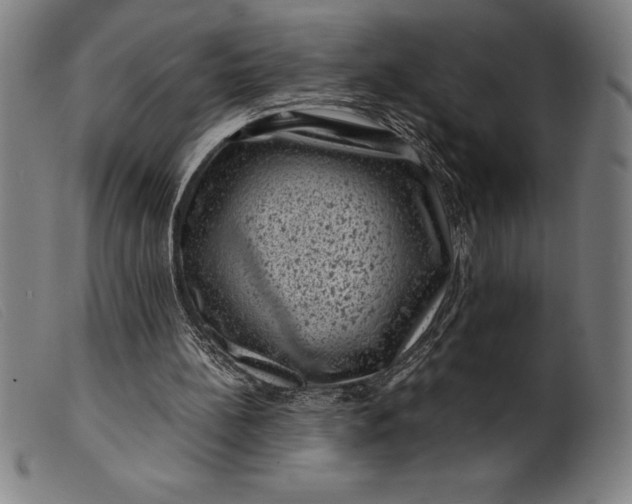 X0000099470148200805231839