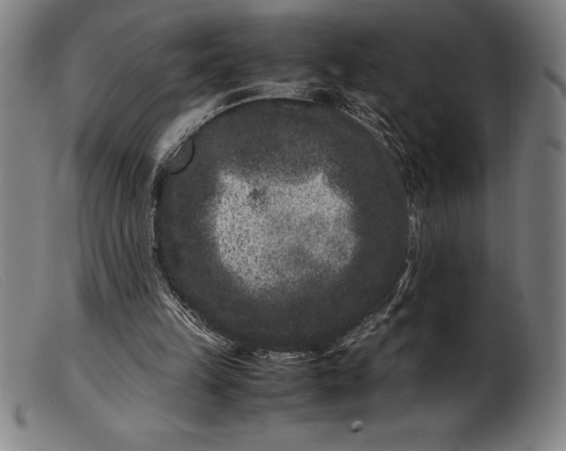 X0000099470149200805231839