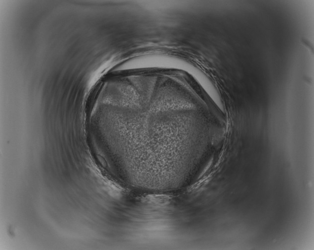 X0000099470150200805231839