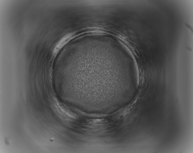 X0000099470151200805231839