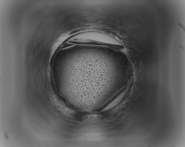 X0000099470152200805231839