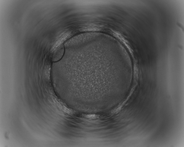 X0000099470153200805231839