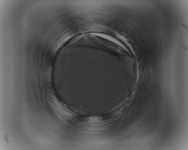 X0000099470154200805231839