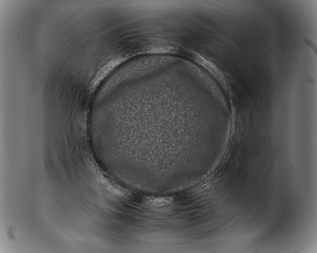 X0000099470155200805231839