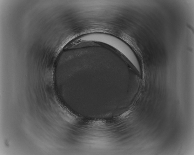 X0000099470156200805231839