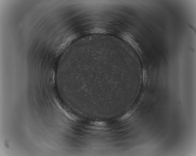 X0000099470157200805231839