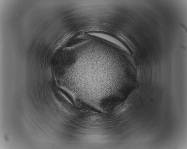 X0000099470158200805231839