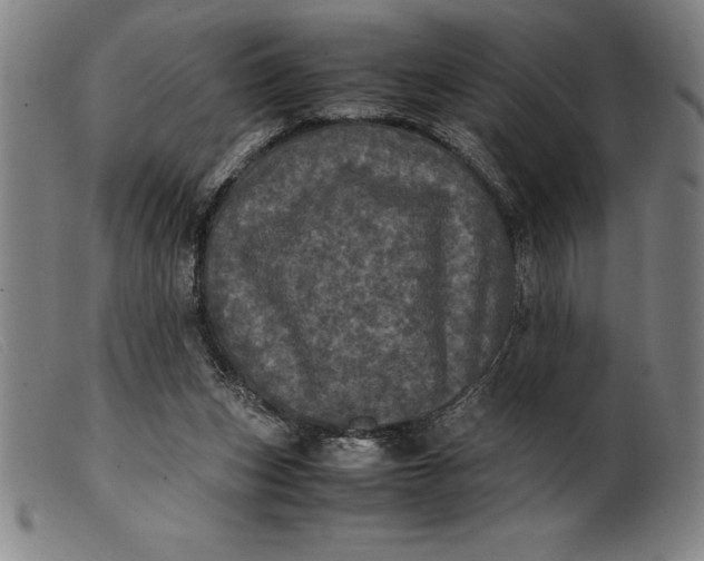 X0000099470159200805231839