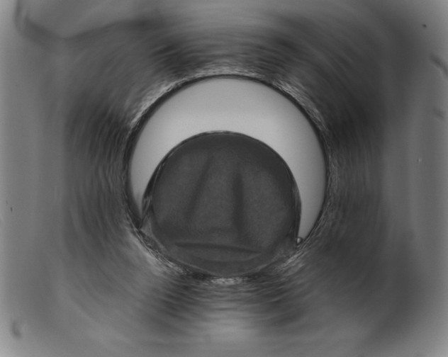 X0000099470160200805231839